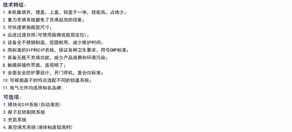 技术特征